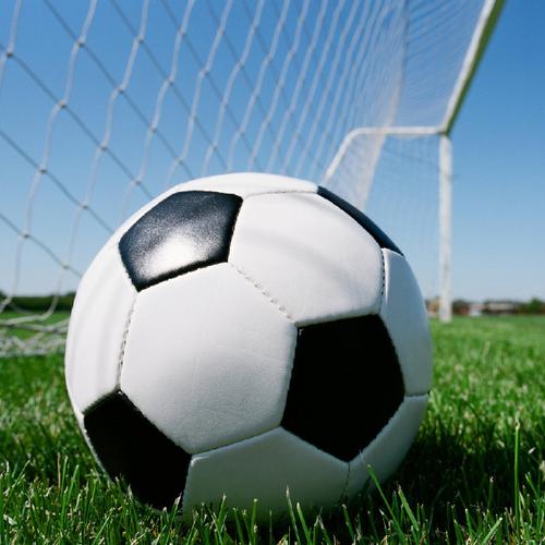 泛站群是什么情况